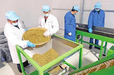 山西藥茶 香飄世界的農(nóng)副土特產(chǎn)品